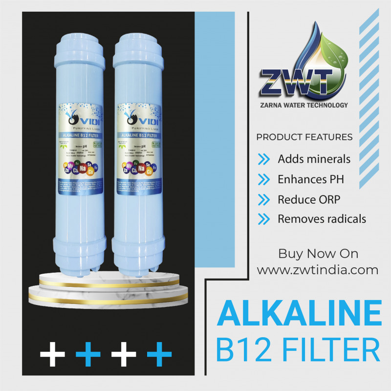 Alkaline B12 Filter